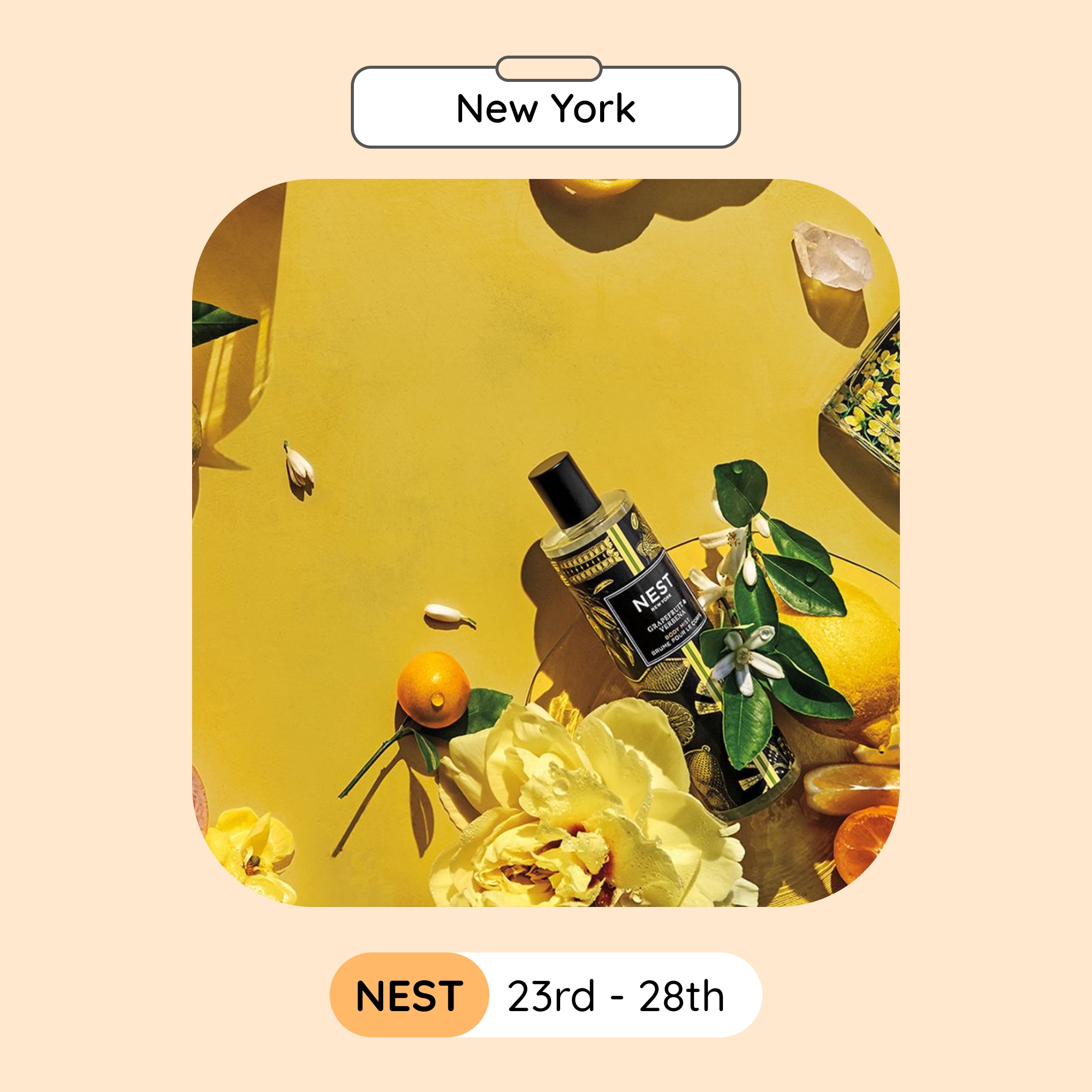 NEST Sample Sale, New York, April 2024