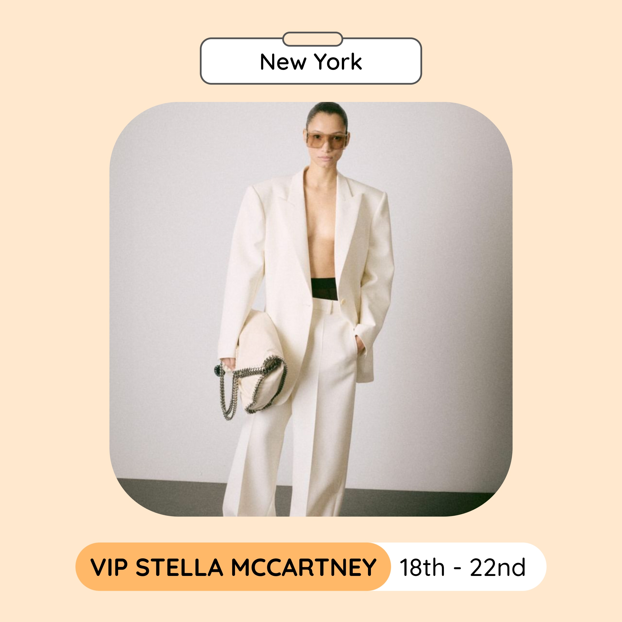 VIP Stella McCartney Sample Sale, New York, December 2024